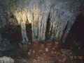 Balankamche caves