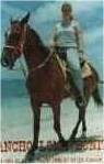 Lorna on horse on beach