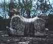 Jaguar Throne