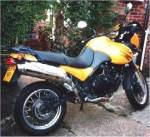 Triumph Tiger